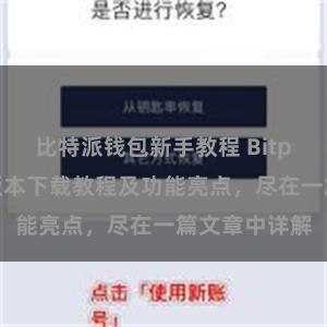 比特派钱包新手教程 Bitpie钱包最新版本下载教程及功能亮点，尽在一篇文章中详解