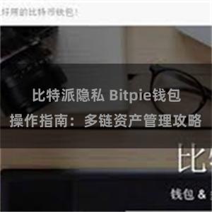 比特派隐私 Bitpie钱包操作指南：多链资产管理攻略