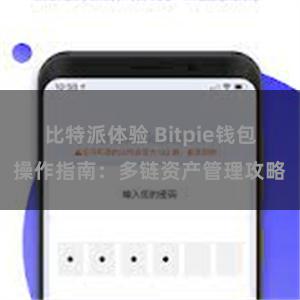 比特派体验 Bitpie钱包操作指南：多链资产管理攻略