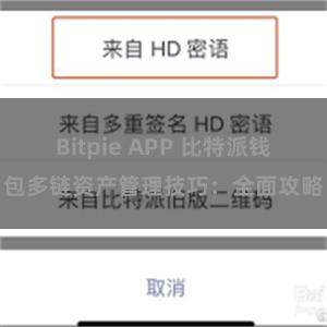 Bitpie APP 比特派钱包多链资产管理技巧：全面攻略