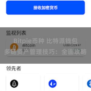 Bitpie币种 比特派钱包多链资产管理技巧：全面攻略