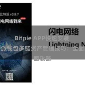 Bitpie APP快速安装 比特派钱包多链资产管理技巧：全面攻略