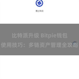 比特派升级 Bitpie钱包使用技巧：多链资产管理全攻略