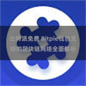 比特派免费 Bitpie钱包支持的区块链网络全面解析