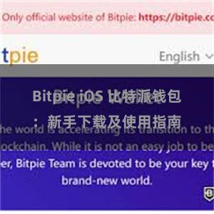 Bitpie iOS 比特派钱包：新手下载及使用指南