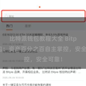 比特派钱包教程大全 Bitpie钱包：资产百分之百自主掌控，安全可靠！