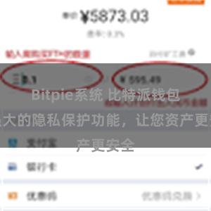 Bitpie系统 比特派钱包：强大的隐私保护功能，让您资产更安全