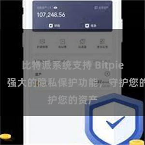 比特派系统支持 Bitpie钱包：强大的隐私保护功能，守护您的资产