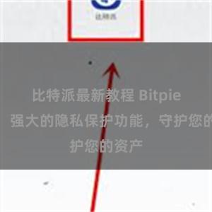 比特派最新教程 Bitpie钱包：强大的隐私保护功能，守护您的资产