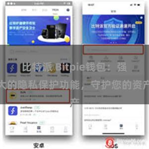 比特派 Bitpie钱包：强大的隐私保护功能，守护您的资产