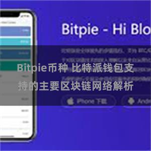 Bitpie币种 比特派钱包支持的主要区块链网络解析