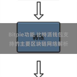 Bitpie功能 比特派钱包支持的主要区块链网络解析