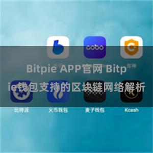 Bitpie APP官网 Bitpie钱包支持的区块链网络解析