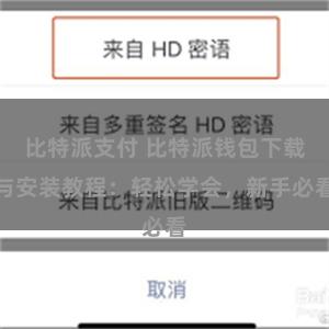 比特派支付 比特派钱包下载与安装教程：轻松学会，新手必看