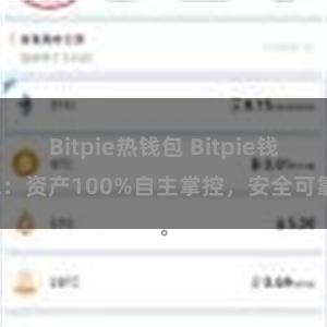 Bitpie热钱包 Bitpie钱包：资产100%自主掌控，安全可靠。