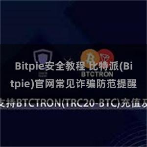 Bitpie安全教程 比特派(Bitpie)官网常见诈骗防范提醒