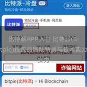 比特派APP入口 比特派(Bitpie)钱包的团队背景与技术实力