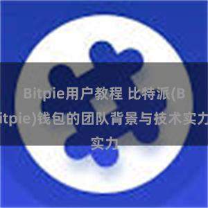 Bitpie用户教程 比特派(Bitpie)钱包的团队背景与技术实力