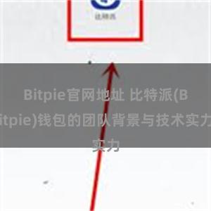 Bitpie官网地址 比特派(Bitpie)钱包的团队背景与技术实力