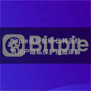 Bitpie最新教程 比特派钱包用户隐私保护措施详解