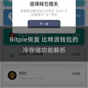 Bitpie恢复 比特派钱包的冷存储功能解析