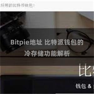 Bitpie地址 比特派钱包的冷存储功能解析