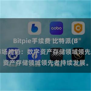 Bitpie手续费 比特派(Bitpie)钱包市场趋势：数字资产存储领域领先者持续发展。